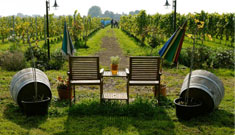 De Amstel Tuin